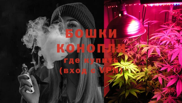 прущие крисы Инсар