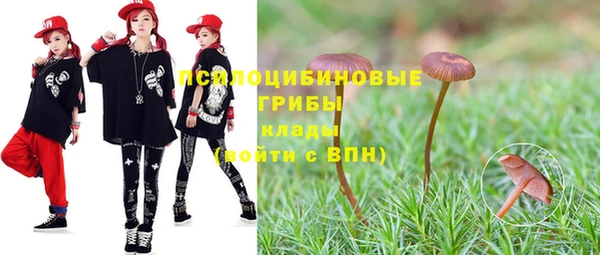 ALPHA PVP Каменногорск