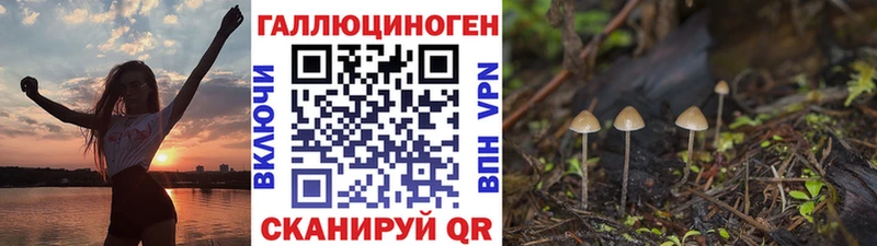 ссылка на мегу ТОР  Кингисепп  Псилоцибиновые грибы мицелий 