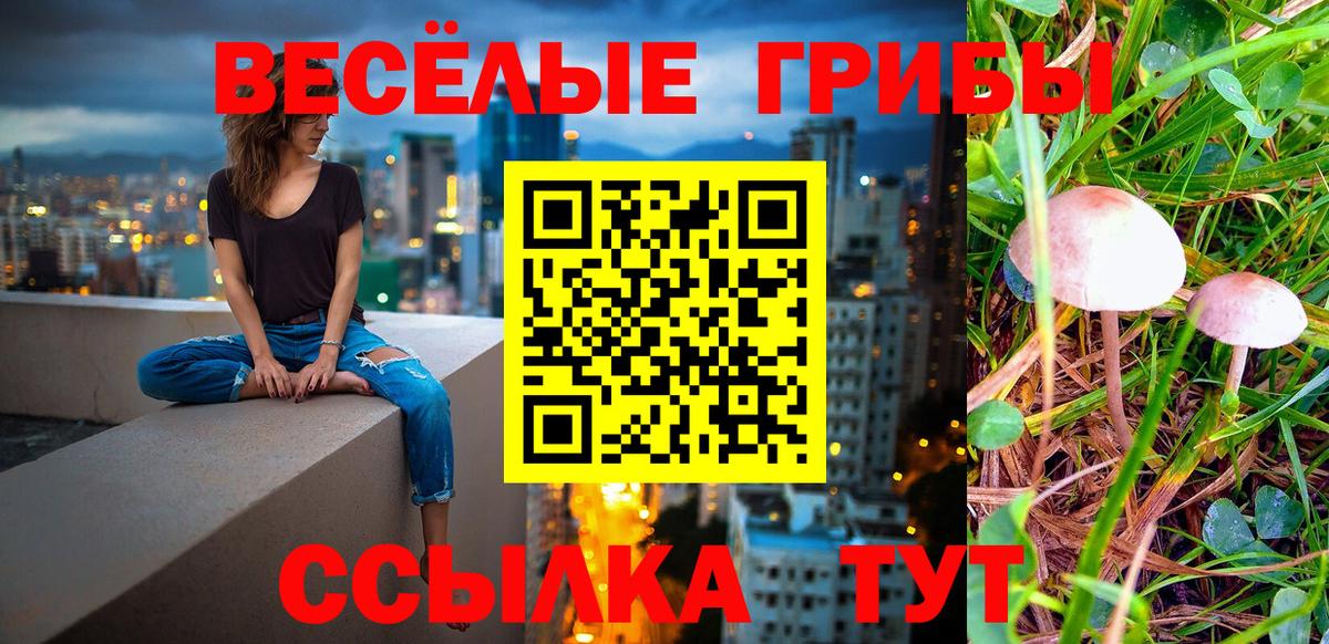 где купить   Галлюциногенные грибы MAGIC MUSHROOMS  Вход с VPN  Кингисепп 